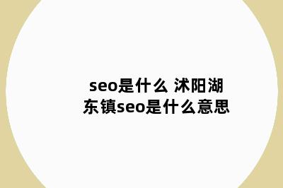 seo是什么 沭阳湖东镇seo是什么意思